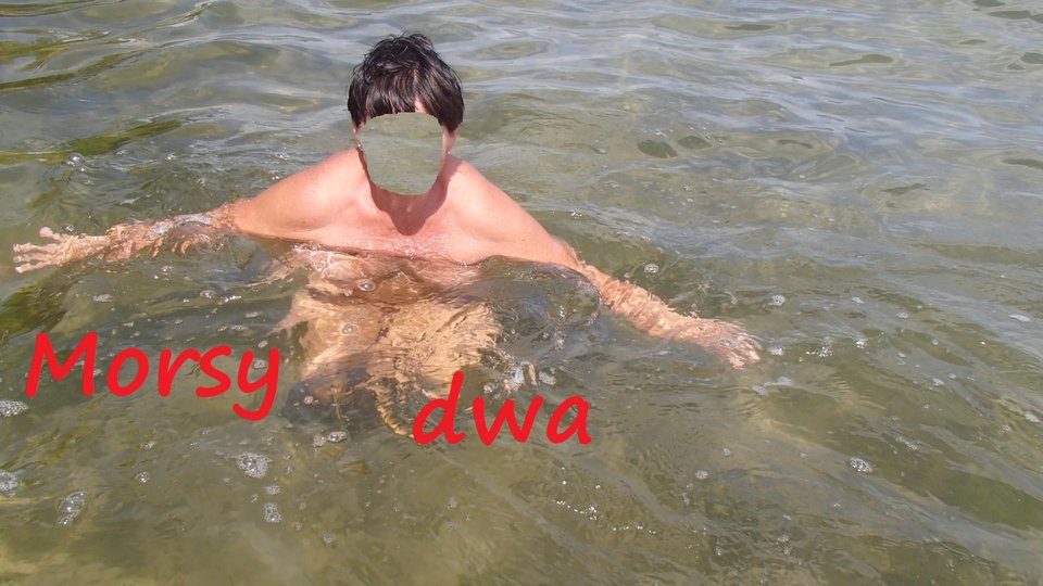 Morze - Morsy_dwa
