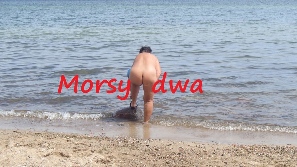 Morze. - Morsy_dwa