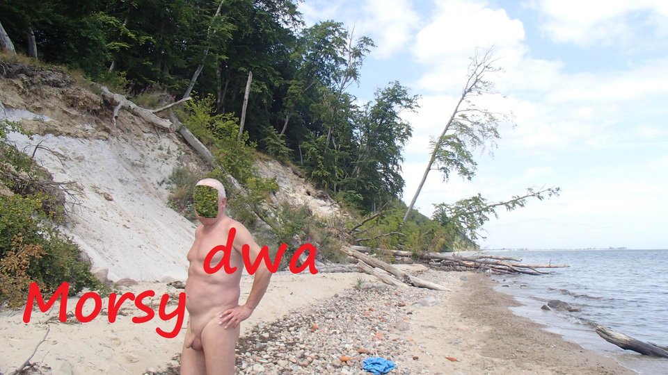 Morze. - Morsy_dwa