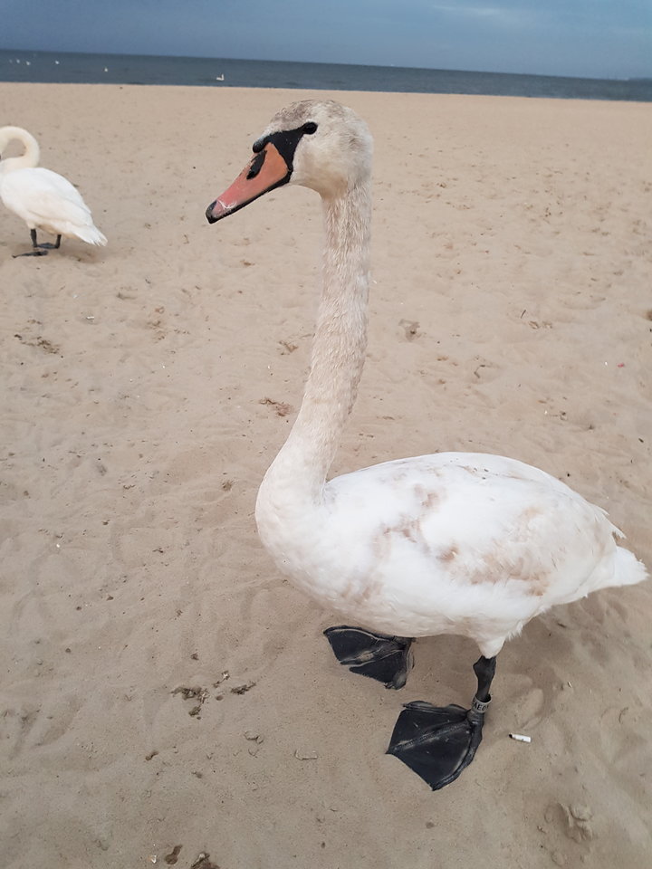 20180517_205006.jpg - reporter13