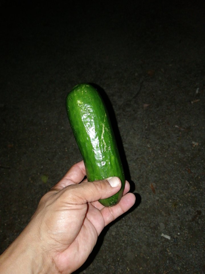 15323752127385670496008169915305.jpg - lickemydick