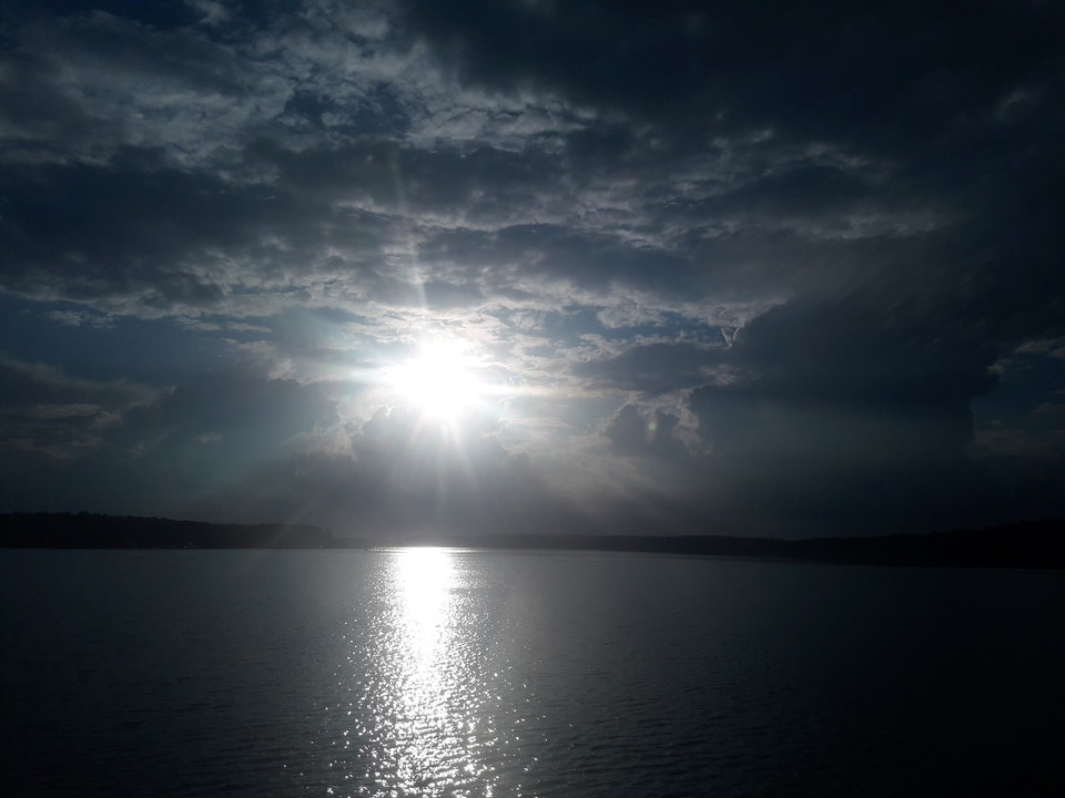 20180724_191405.jpg - dino8