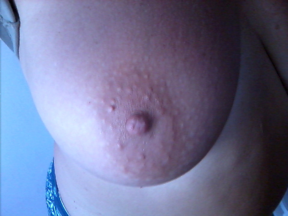 DSC_0000982.jpg - olla55