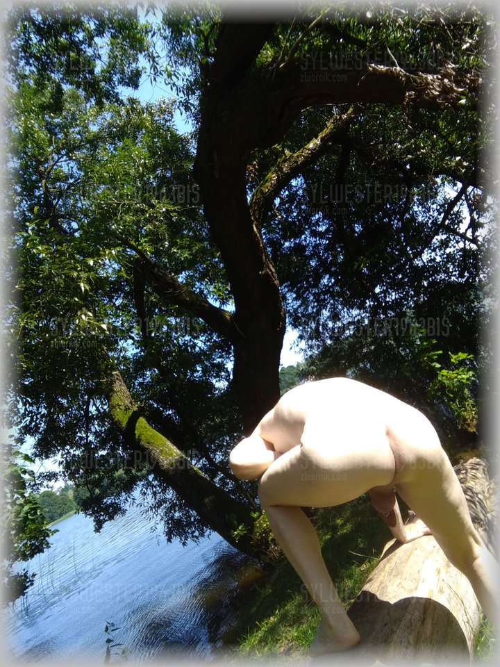 P_20180723_132211_BF.1.jpg - sylwester1963bis