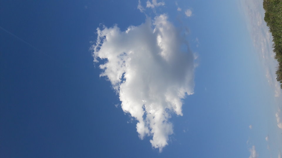 20180722_172849.jpg - ParaZPiaseczna