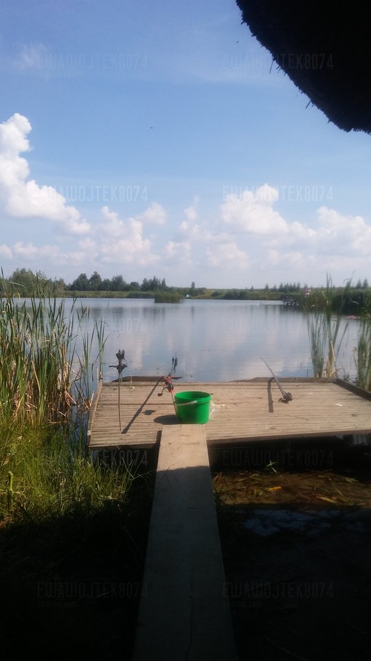 20180728_103346.jpg - ewawojtek8074