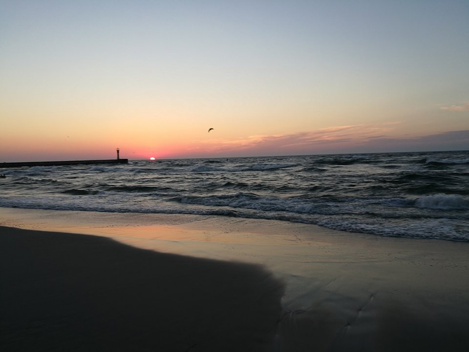 IMG_20180727_210410.jpg - papagaje