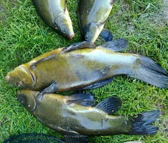 2018-07-16 16.39.19.jpg