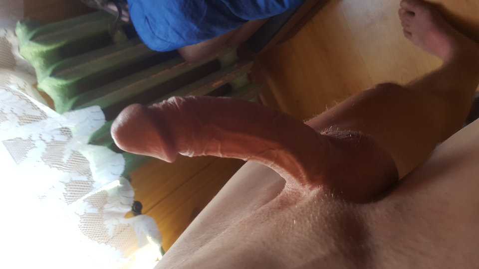 20180729_114428.jpg - Zeber7