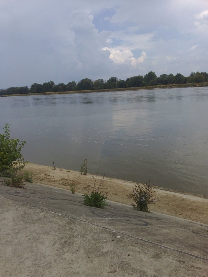 1532860175731919458.jpg - wawamybi