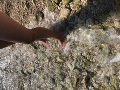 525F716A-B985-411D-9355-0904D5F90C88.jpeg