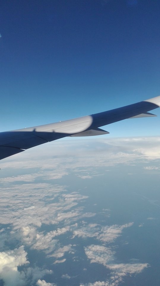 IMG_20180730_020428.jpg - Malzenstwozpaniabi