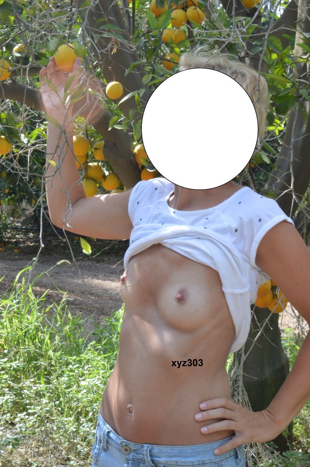 DSC_0981.JPG - xyz303