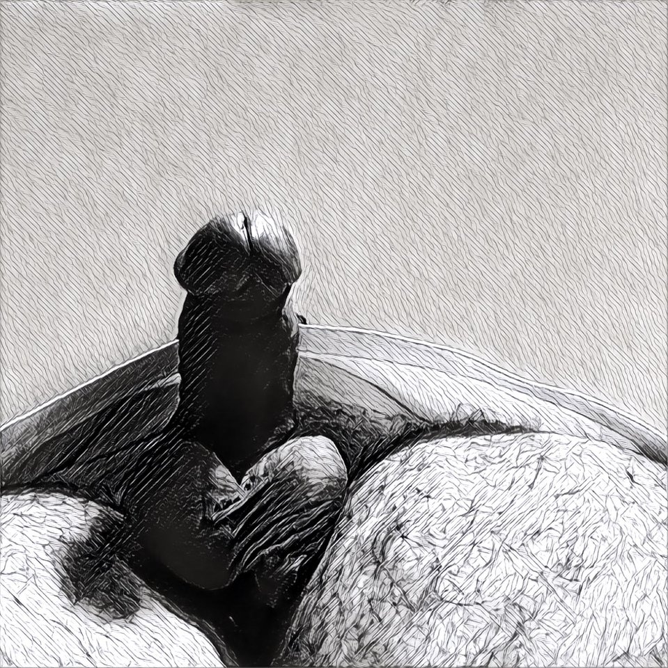 IMG_8298.JPG - pitupitu333