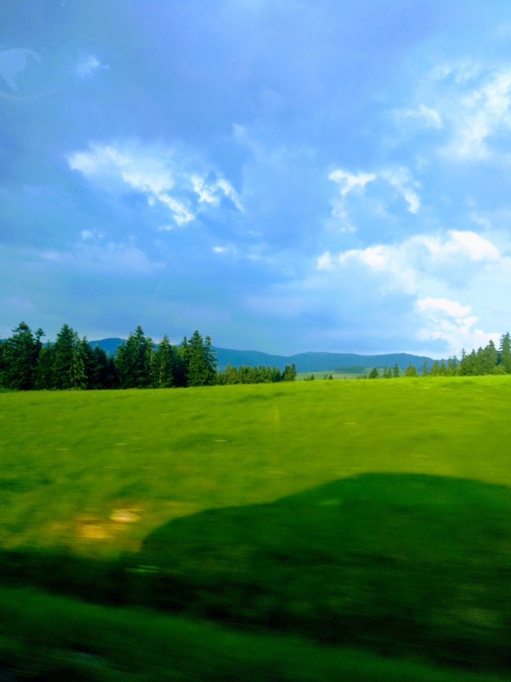 IMG_20180729_191004.jpg - MattVegass