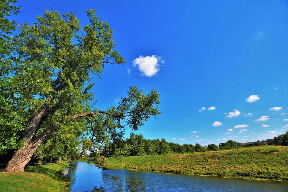 🌞☀️ - Mirabelka37