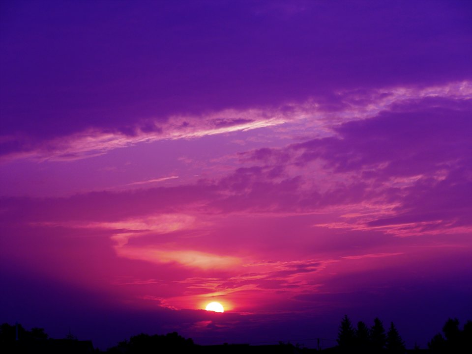 _1050196.jpg - FoKam431