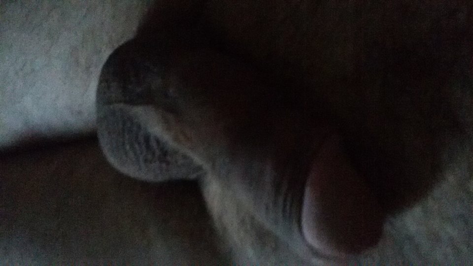 1533194518182471891364.jpg - Rafalko