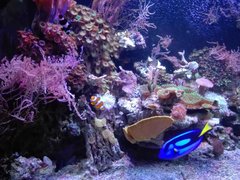 IMG_20180731_132440.jpg