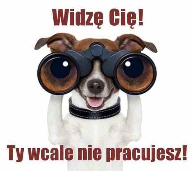 received_2078806965666947.jpeg - jacaku