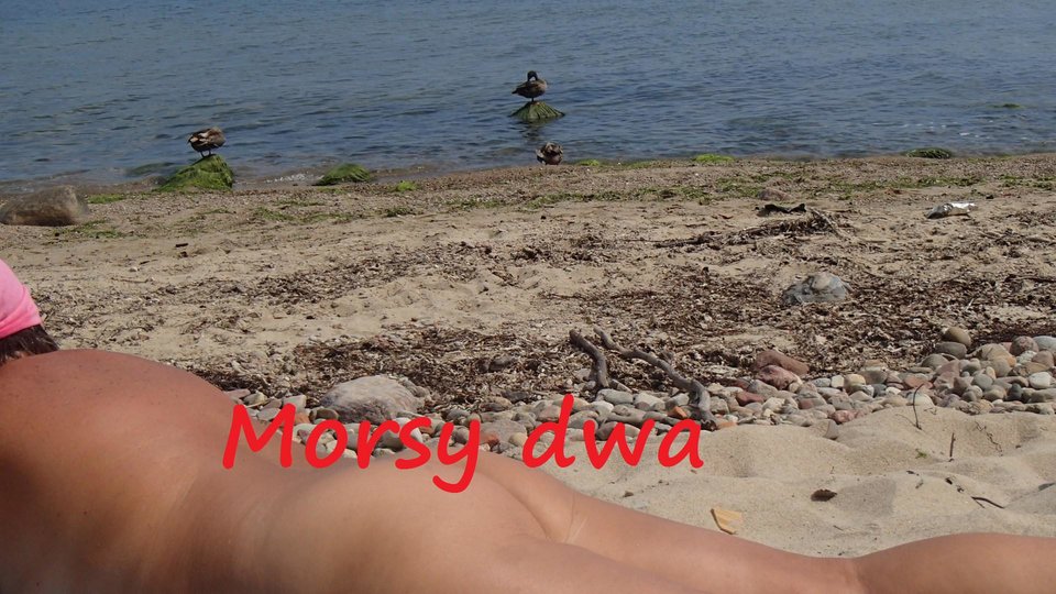 Nad morzem. - Morsy_dwa