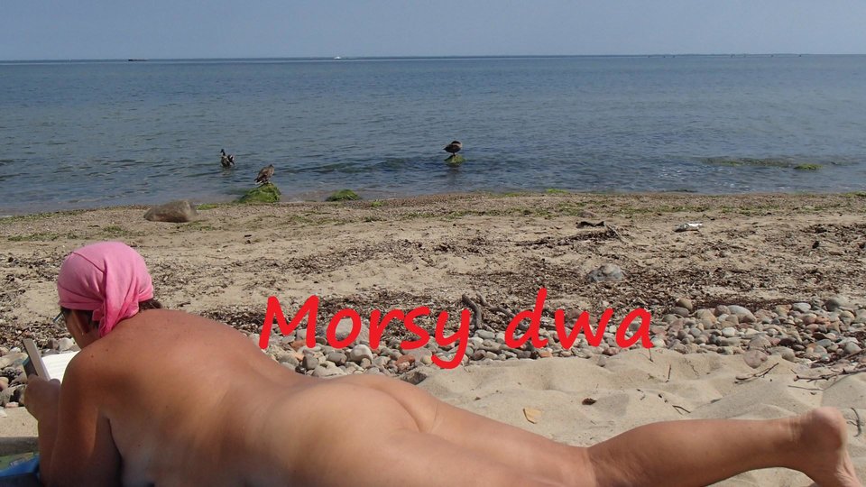 Nad morzem. - Morsy_dwa
