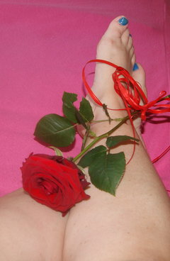 Dokąd mnie dziś zaniosą?