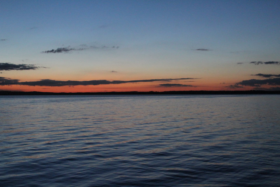 IMG_7730.JPG - MattVegass