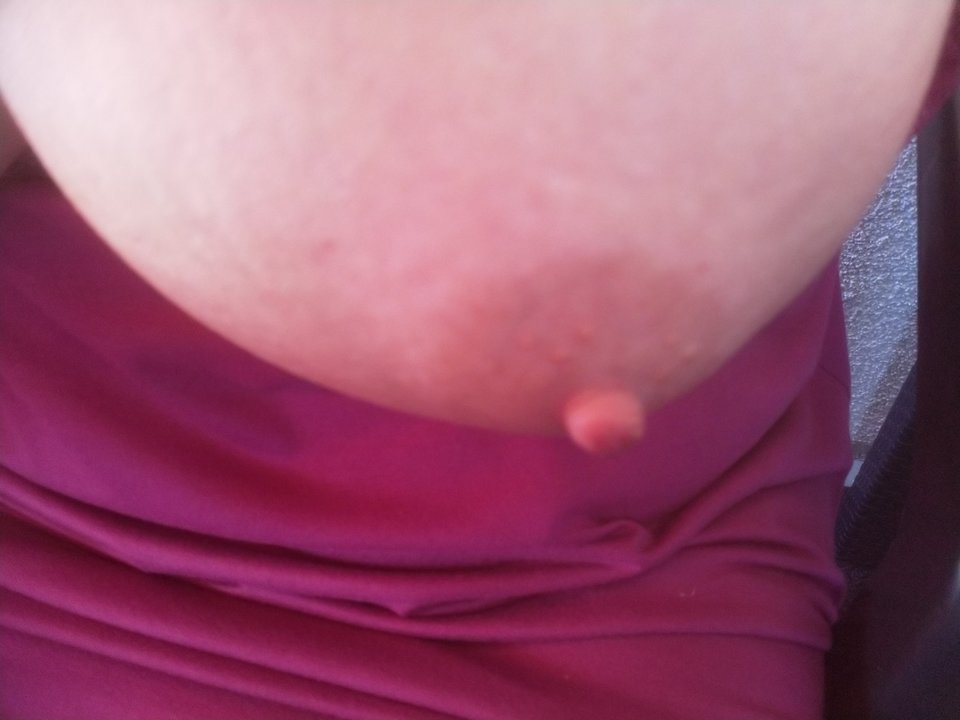 IMG_20180807_143556.jpg - karrorer