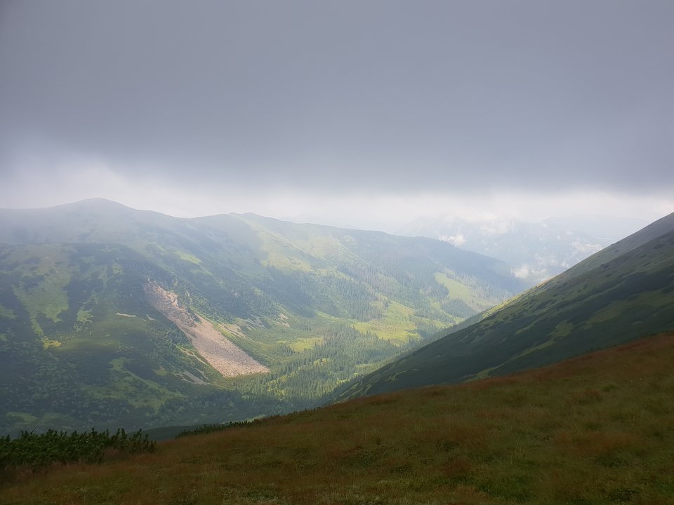 20180723_125706.jpg - ZakazanaStrefa