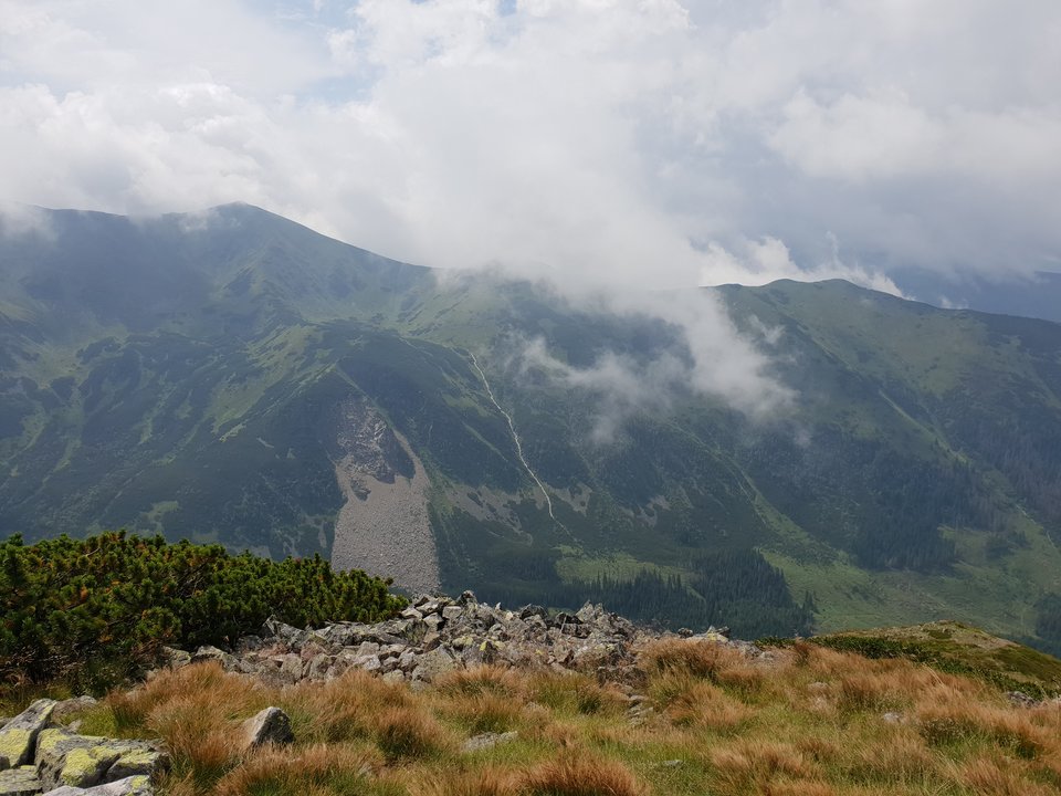 20180723_134737.jpg - ZakazanaStrefa