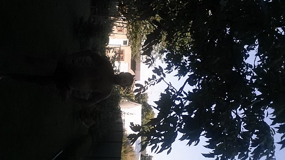 20180807_180438.jpg - skromny9