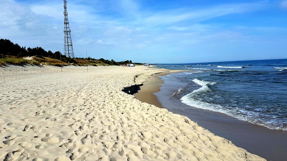 20180808_095926.jpg - Golasek_wawa