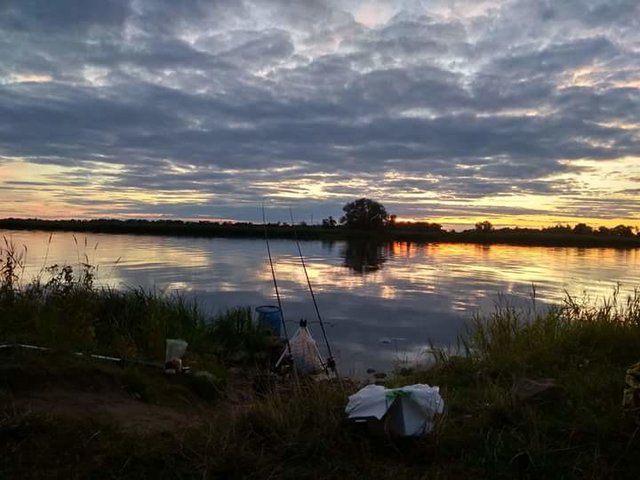 FB_IMG_1533737109568.jpg - Brunet_311