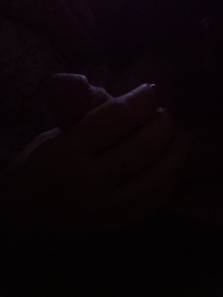 IMG_20180808_000916.jpg - Losmentos