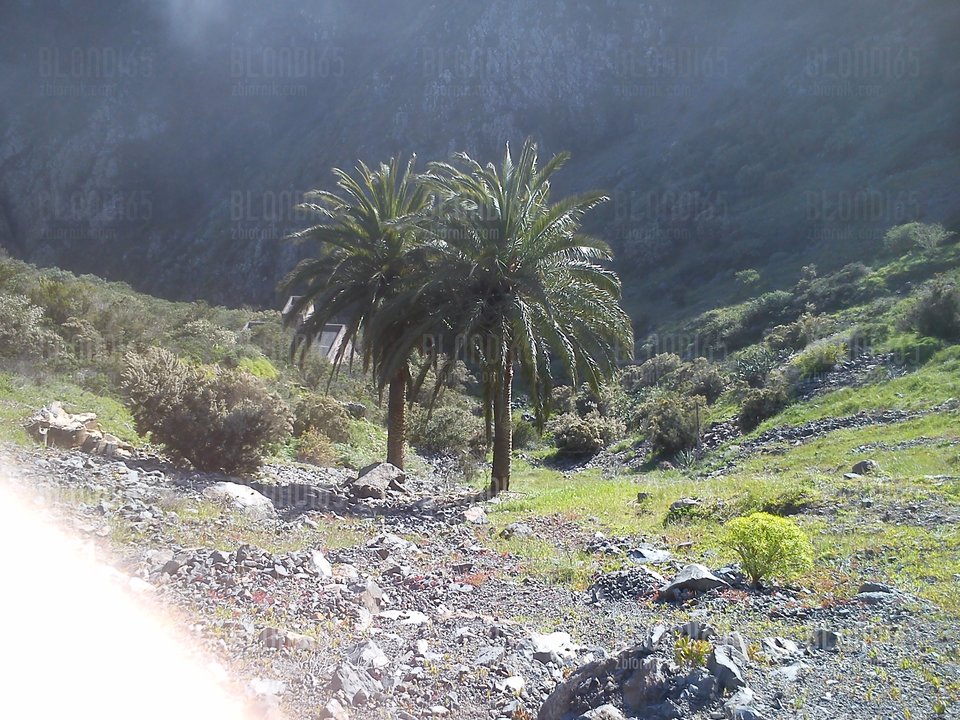 widok1.jpg - blondi65