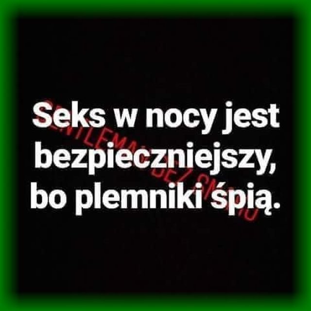 38391328_1799332413515572_6055724684144541696_n.jpg - sylwester1963bis