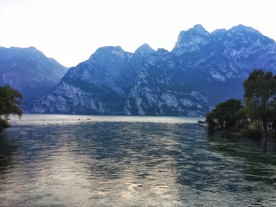 C4E4AEEC-A029-422F-8831-8A422817BE5F.jpeg - pawelsolt