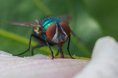 Niecierpliwa modelka