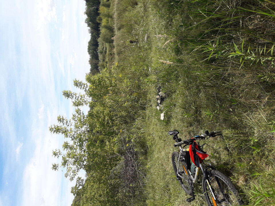 2018-08-12 13.06.53.jpg - tom6970