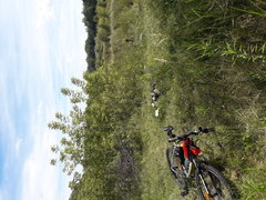 2018-08-12 13.06.53.jpg