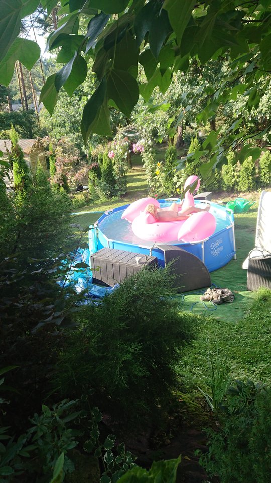 DSC_0363.JPG - arahja