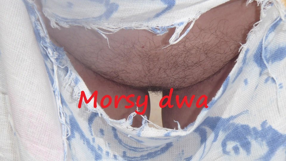 Babie Doły. - Morsy_dwa