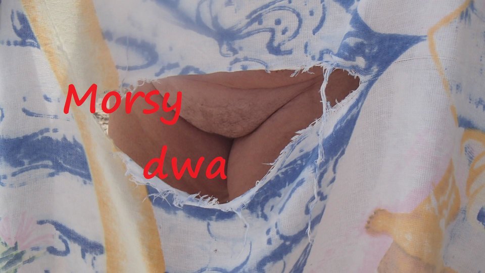 Babie Doły. - Morsy_dwa