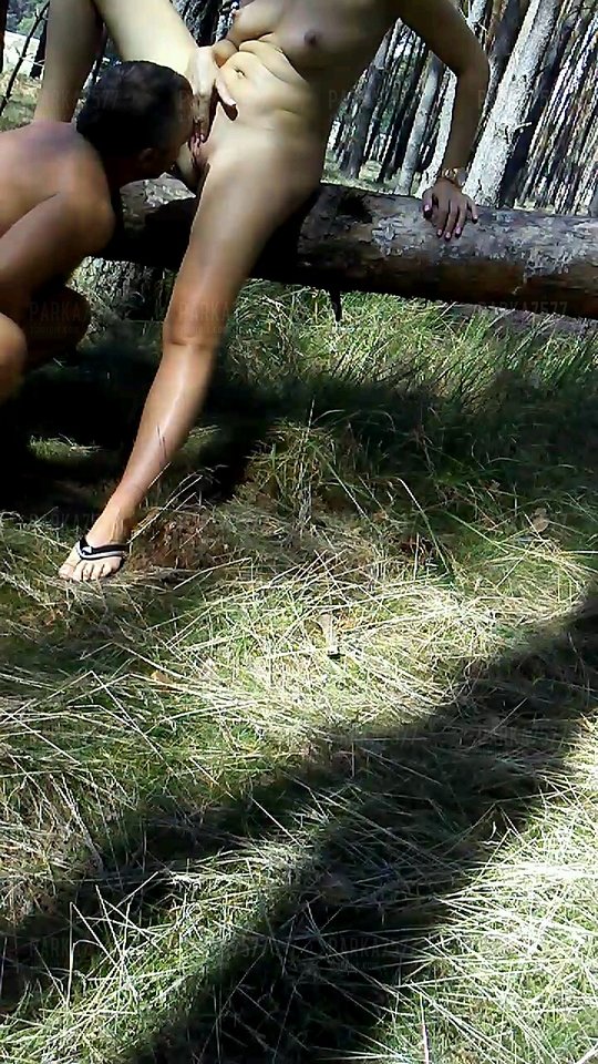 2018-08-13-08-01-25.jpg - parka7577