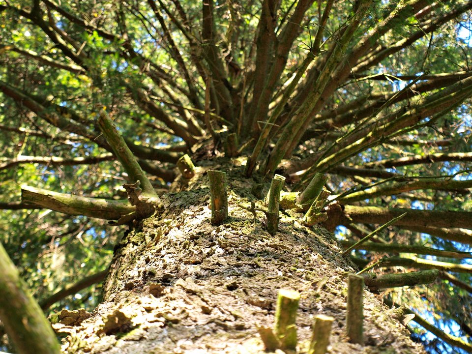 PA019072.JPG - Piotr700