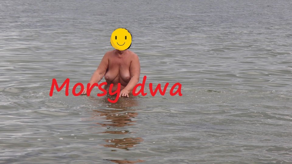 W morzu i nad morzem. - Morsy_dwa