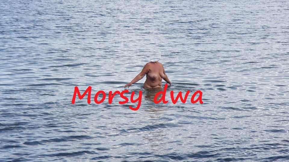 W morzu i nad morzem. - Morsy_dwa