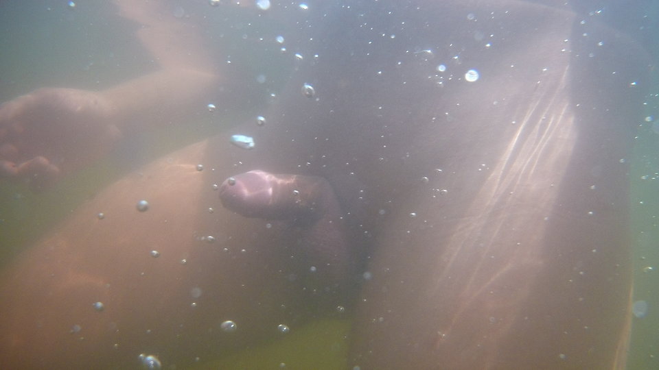 qqqq.JPEG - Innynizwszyscy27