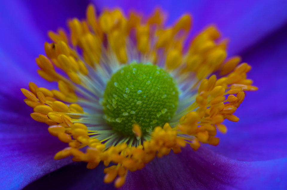 Bardzo blisko - mystic